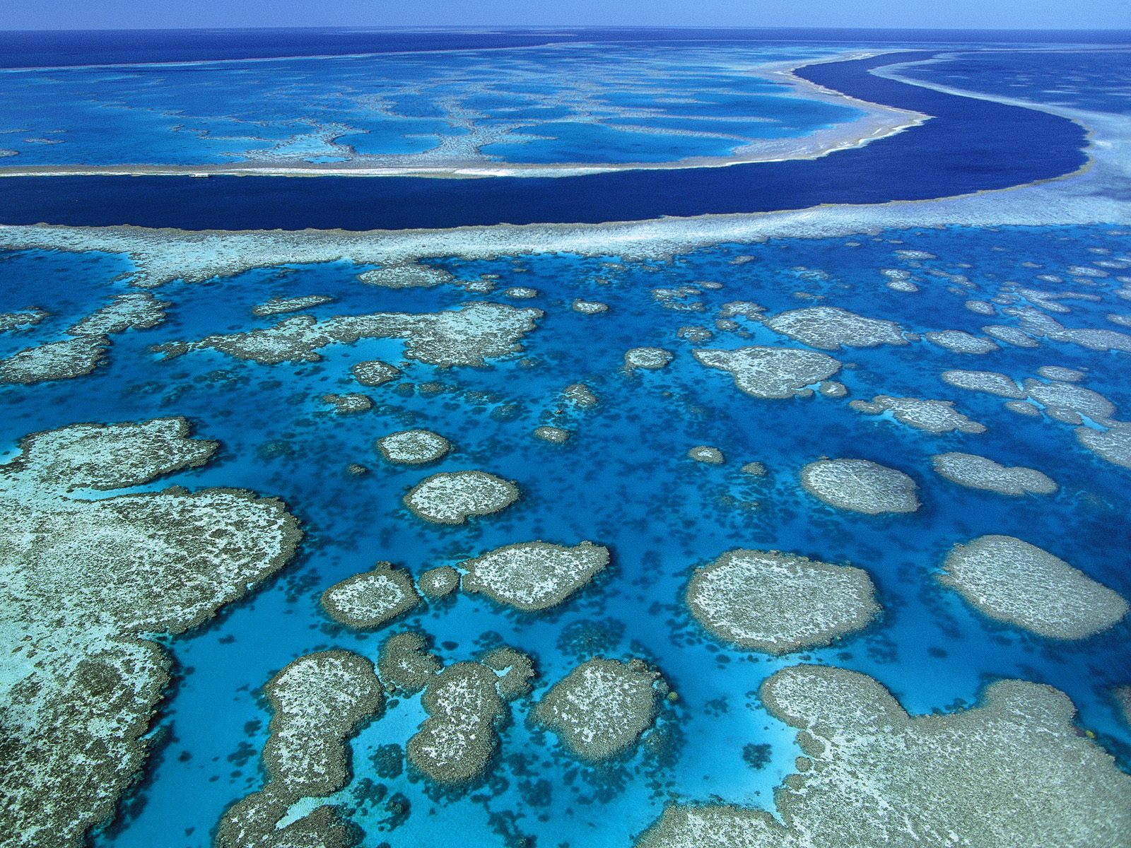 Barrier_Reef_1