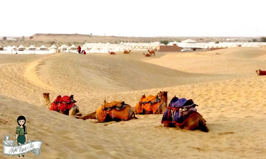Jaisalmer-Camel Safari- Camel Ride- Sand Dunes