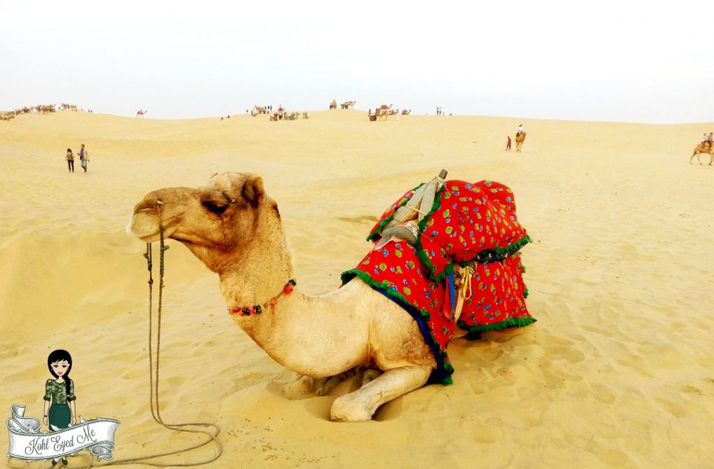 Jaisalmer Camel Safari - Sand Dunes - Rajasthan- Travel Diaries