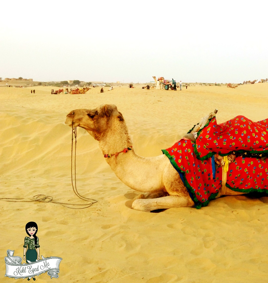 Jaisalmer Camel Safari- Sand Dunes Images - Camel Ride