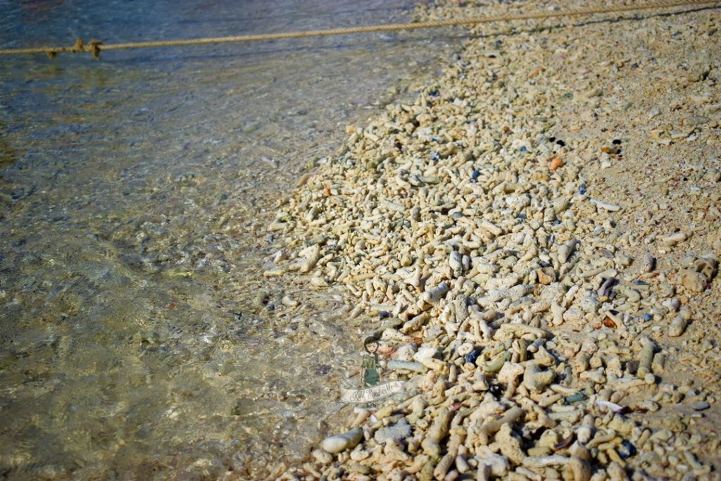 Corals at Khai Island Thailand