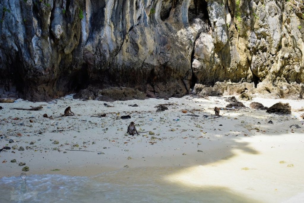 Monkey Beach Phi Phi Islands Thailand