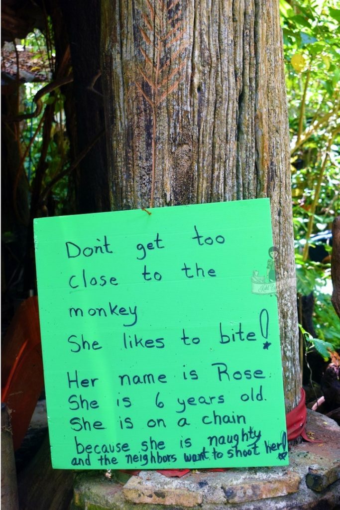 Handwritten Note Giant Catfish Farm Krabi