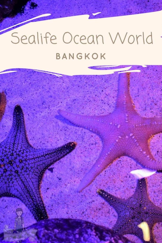 Sealife Ocean World Bangkok Pinterest