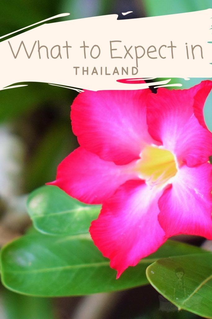 What to expect in Thailand - Bangkok - Phuket - Krabi - Pattaya
