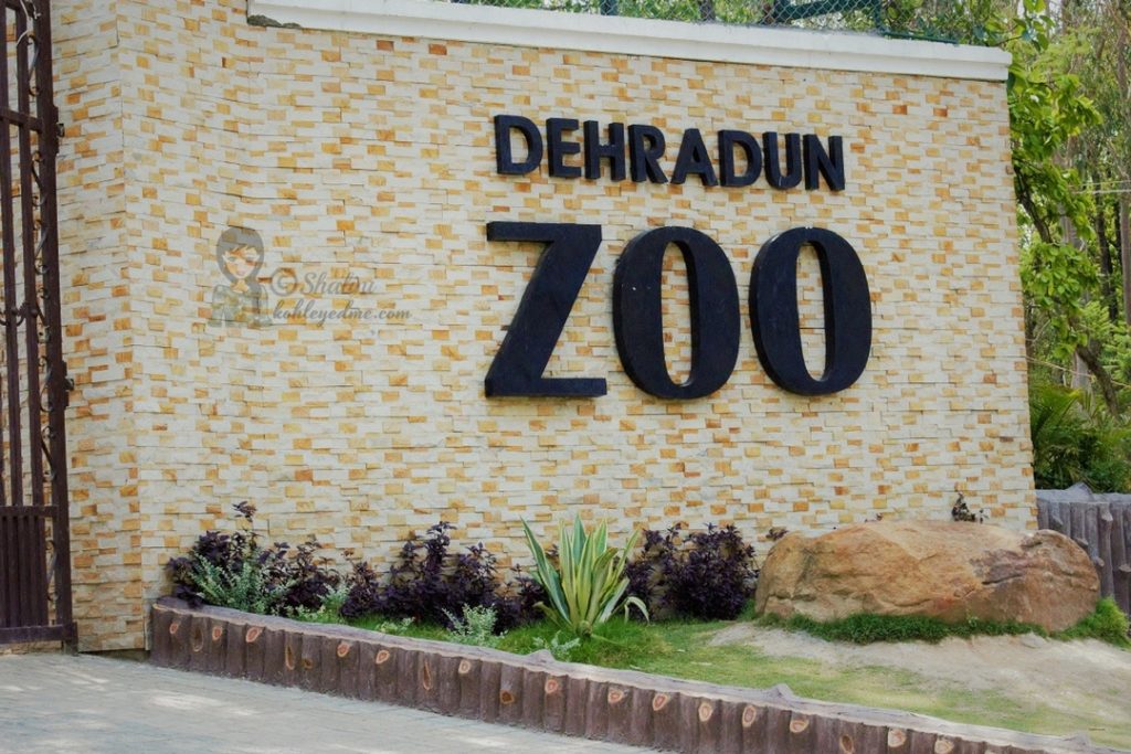 Malsi Deer Park - Dehradun Zoo - Dehradun Park