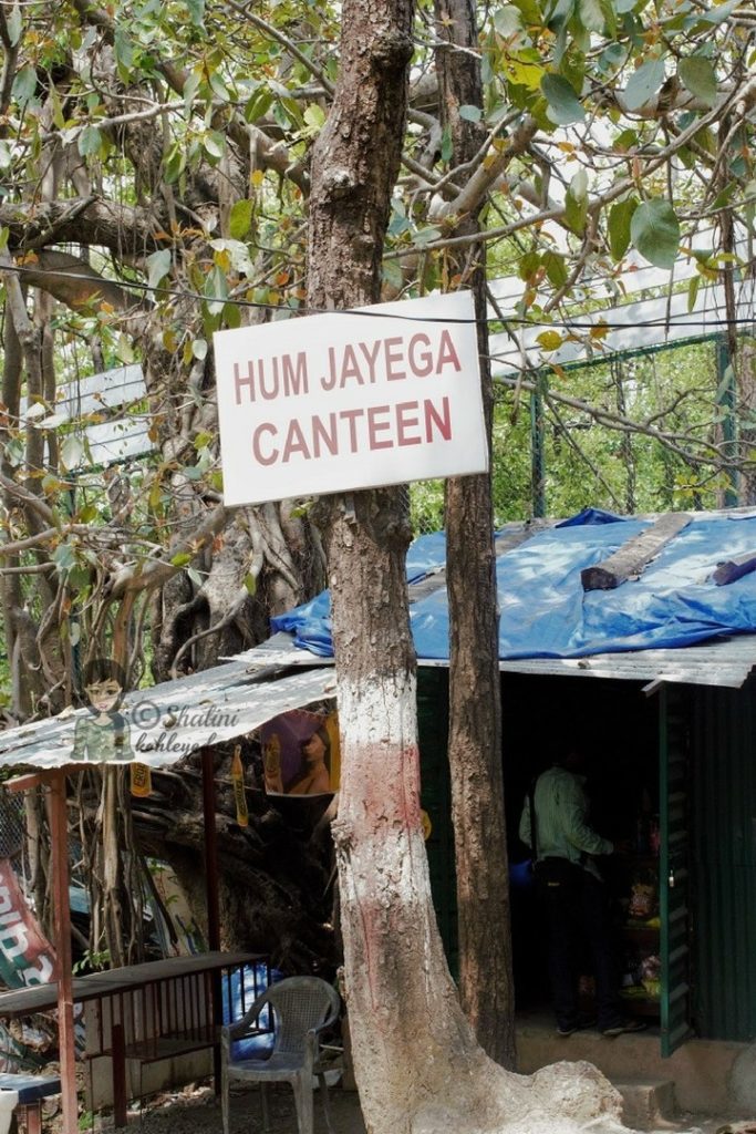 Malsi Deer Park Canteen