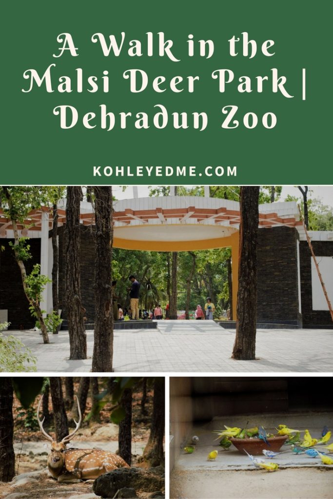Malsi Deer Park Dehradun Zoo Pinterest