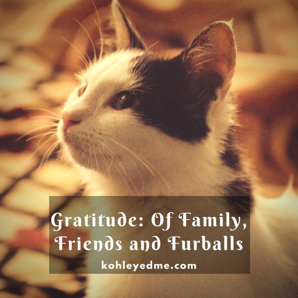 Gratitude Circle kohleyedme.com