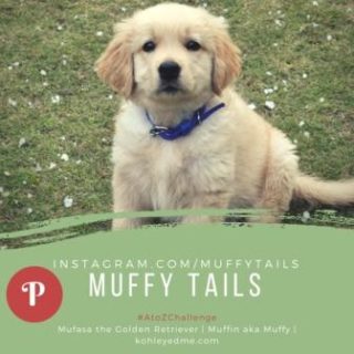 Muffytails kohleyedme.com