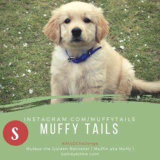 Muffytails kohleyedme.com