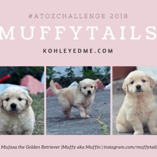 muffytails atozchallenge kohleyedme.com
