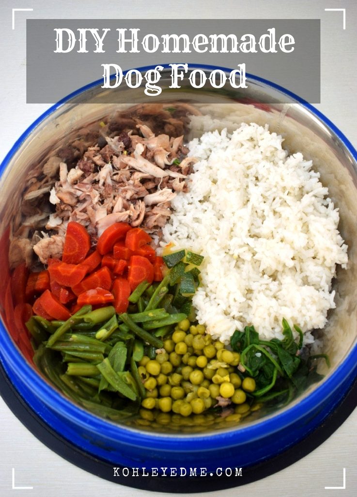 DIY Homemade Dog Food