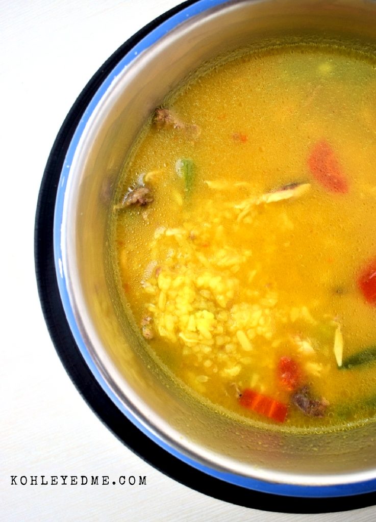 Chicken and rice dog food kohleyedme.com