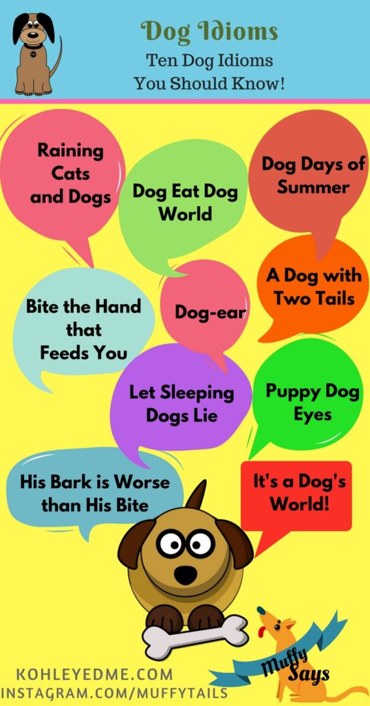 Dog Idioms Pinterest kohleyedme.com