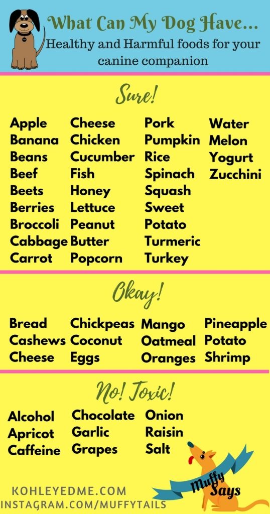 Healthy and Harmful Foods for Dogs kohleyedme.com