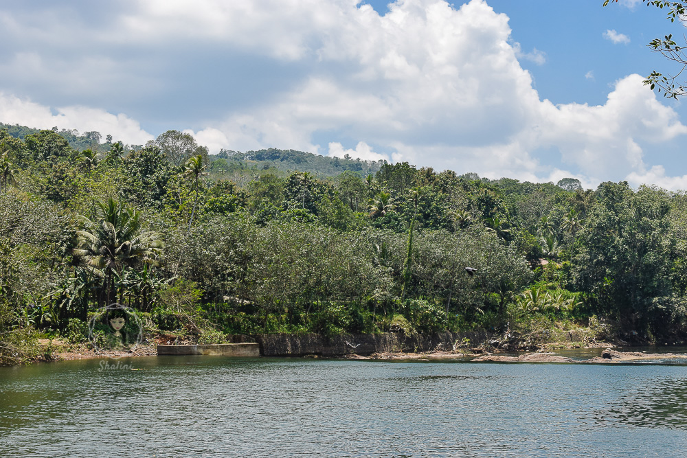 Manimala River in Kottayam