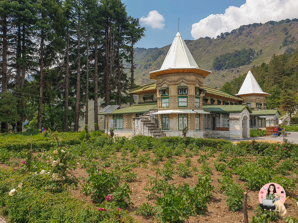 kailas manasoravar yatra dharchula munsiyari