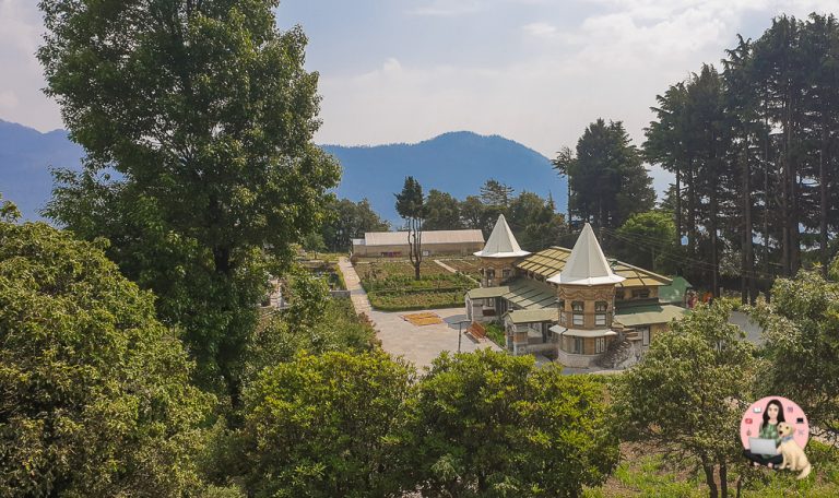 Narayan Ashram: An Offbeat Gem of Uttarakhand - Kohl Eyed Reads