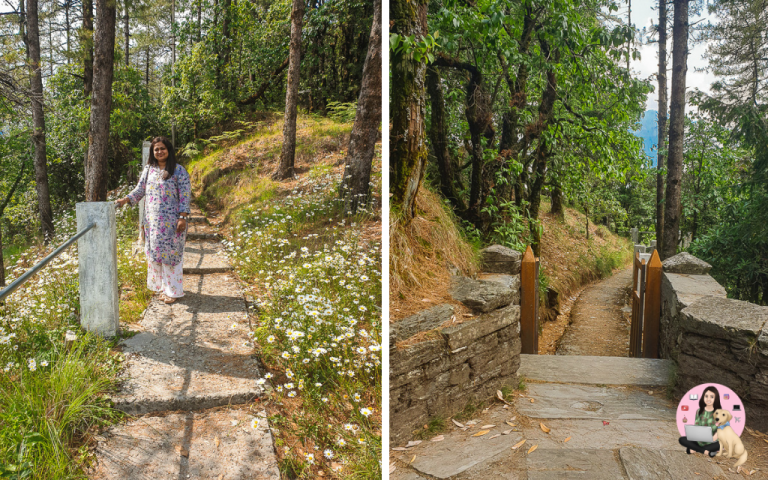 Narayan Ashram: An Offbeat Gem of Uttarakhand - Kohl Eyed Reads