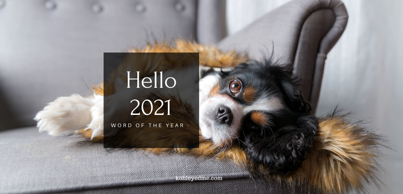 word of the year 2021 woty2021 relaxed dog in a coach