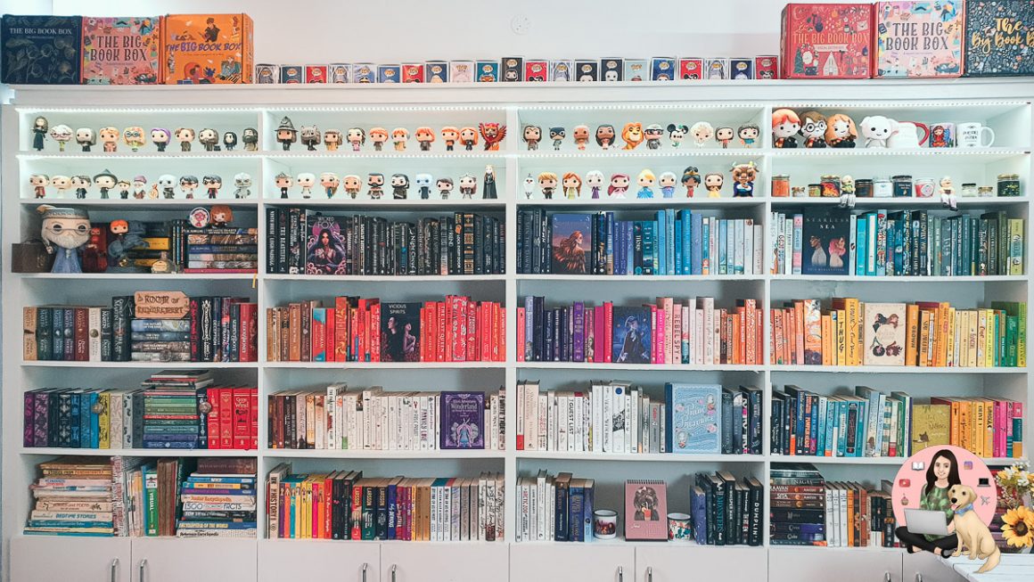 How to DIY Rainbow Bookshelf